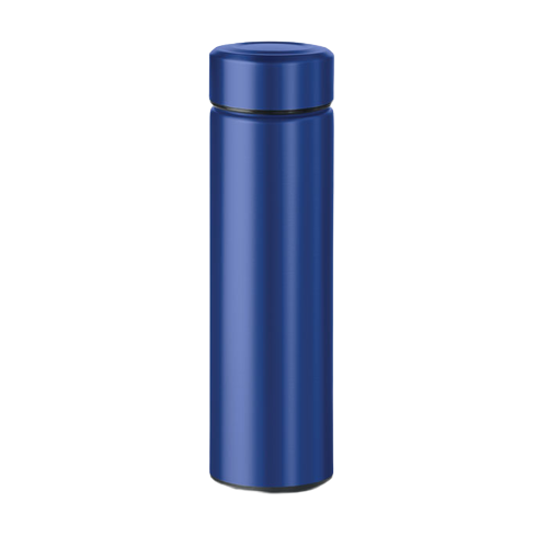 Bouteille isolante Patagonia 425mL